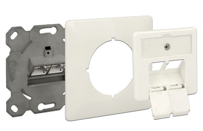 DELOCK Modular Wall Outlet Δικτύου, Cat.6A, 2x LSA, 2 Port 2 Cat.6A