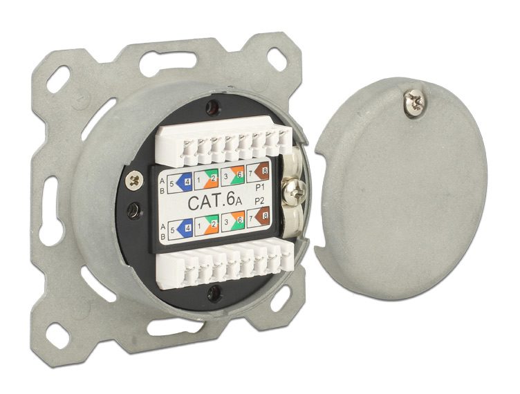 DELOCK Modular Wall Outlet Δικτύου, Cat.6A, 2x LSA, 2 Port 3 2x LSA