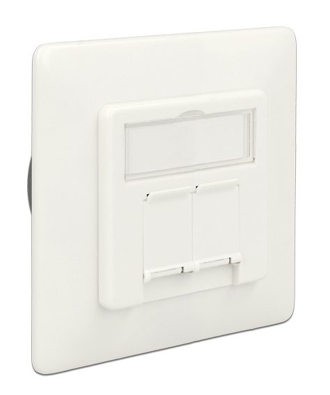 DELOCK Modular Wall Outlet Δικτύου, Cat.6A, 2x LSA, 2 Port 1 DELOCK Modular Wall Outlet Δικτύου